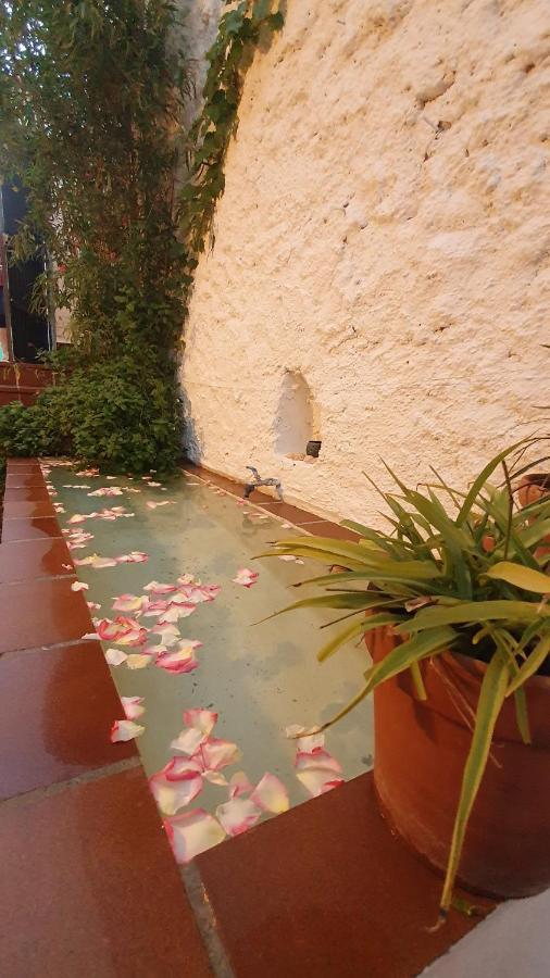 Casa Bambu Granada Exterior foto